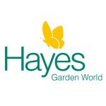 hayes.jpg