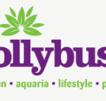 hollybush.png
