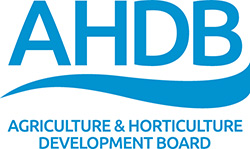 AHDB