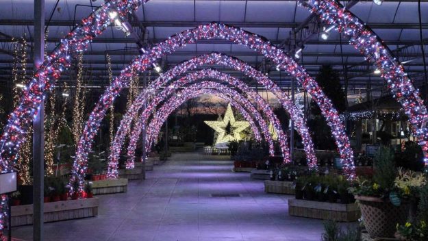 Barton Grange Christmas displays 2018 (1)