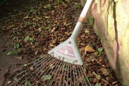 Rake