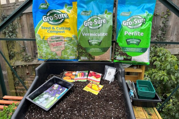 Seed sowing