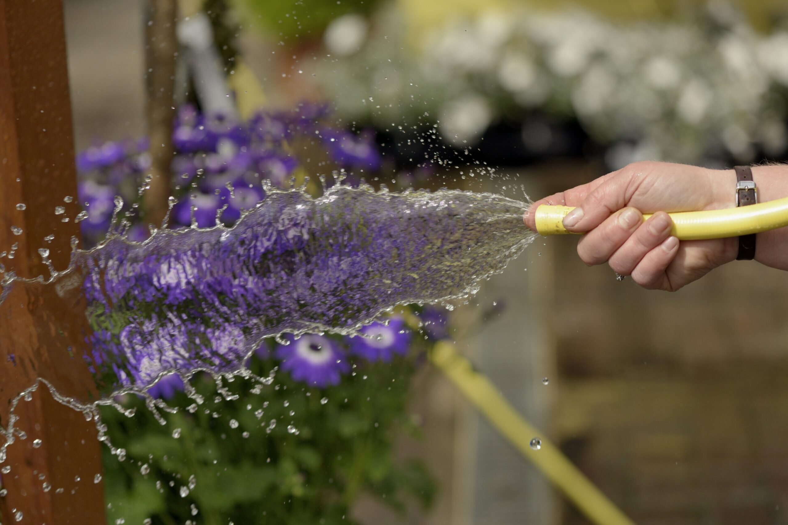 Watering 2 Water saving