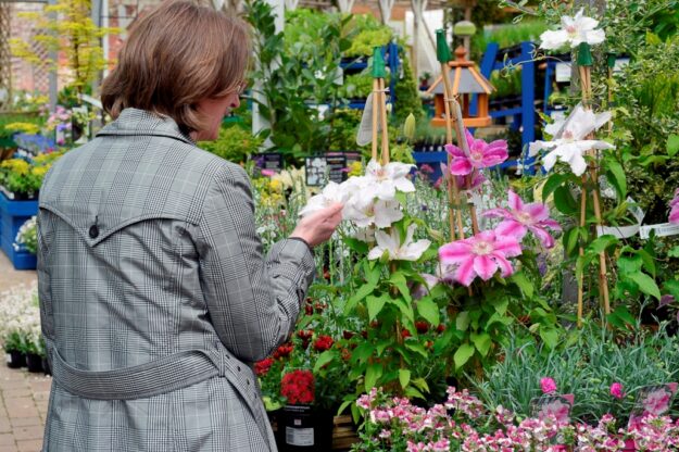 Pic 1 GCA member garden centres recorded sales of outdoor plants were up by 24.94% last month (May 2023)