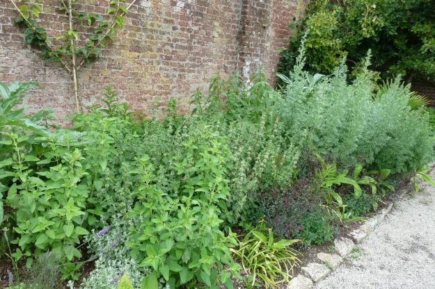 P&R herb border