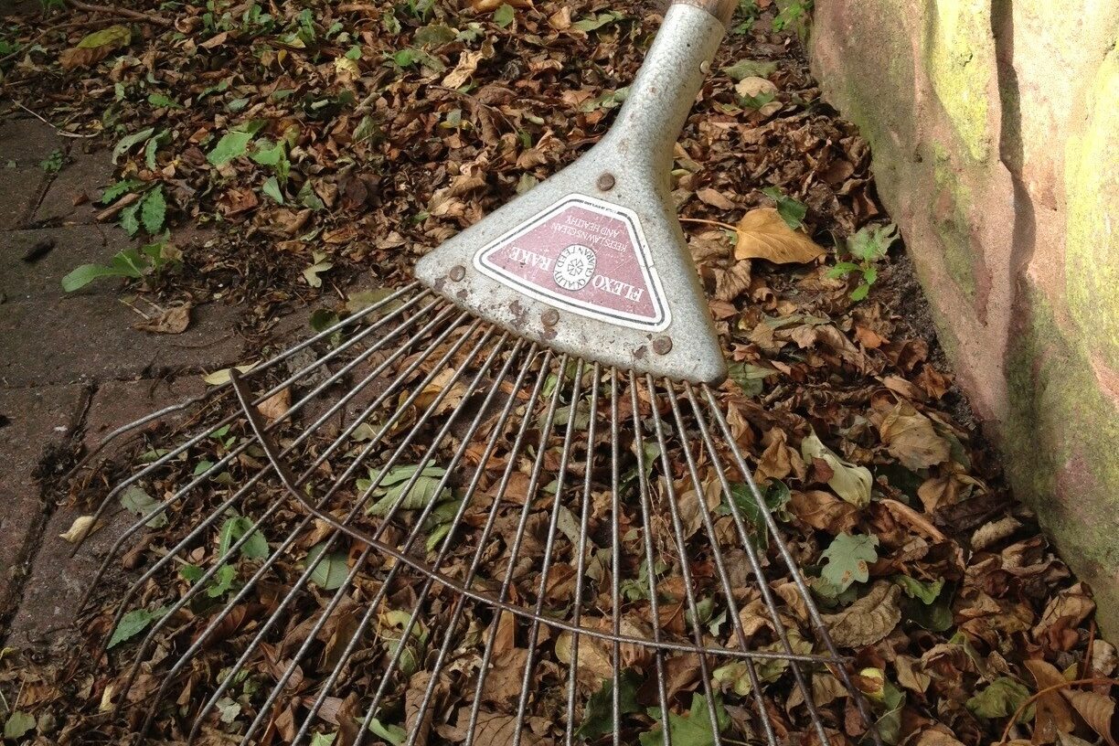 Rake and leaves