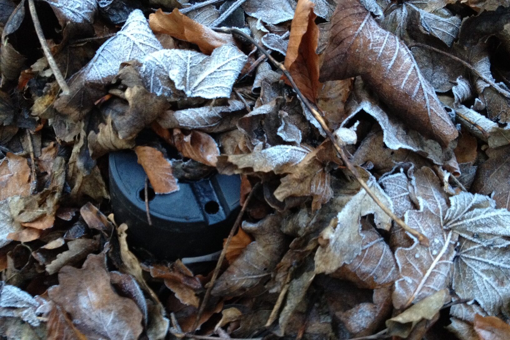 Winter garden tidy up, leaves and pot, frost – SM only