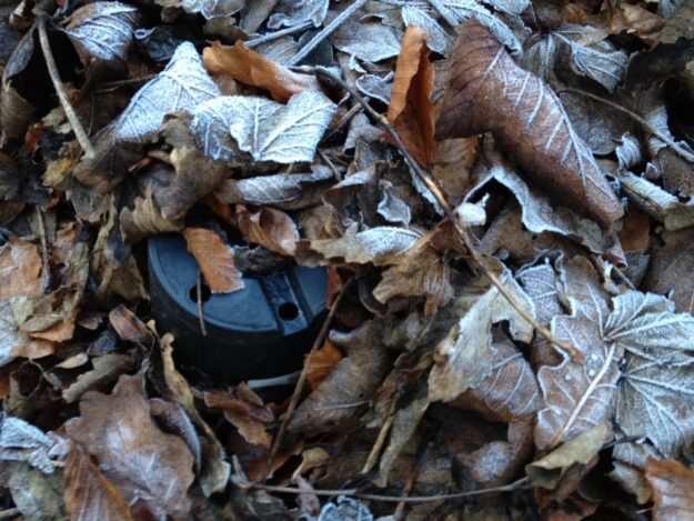 Winter garden tidy up, leaves and pot, frost – SM only