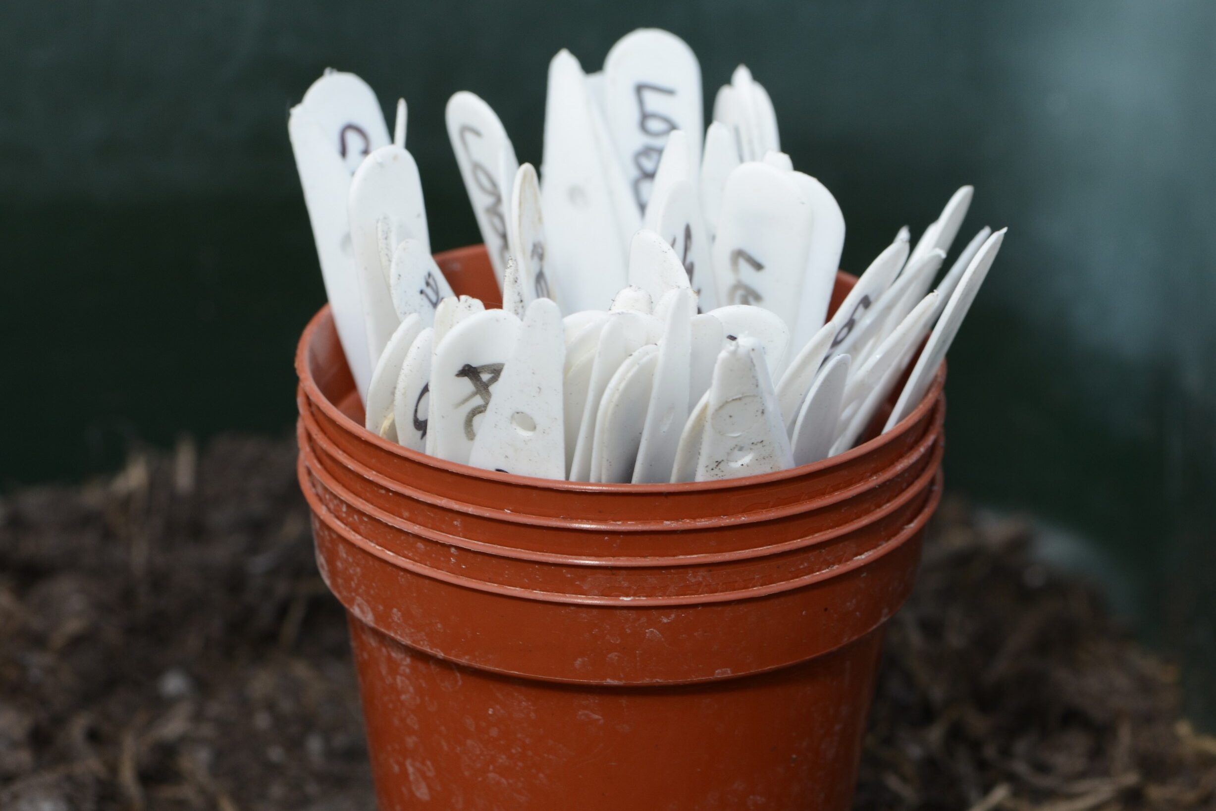 Pots and labels – Copy