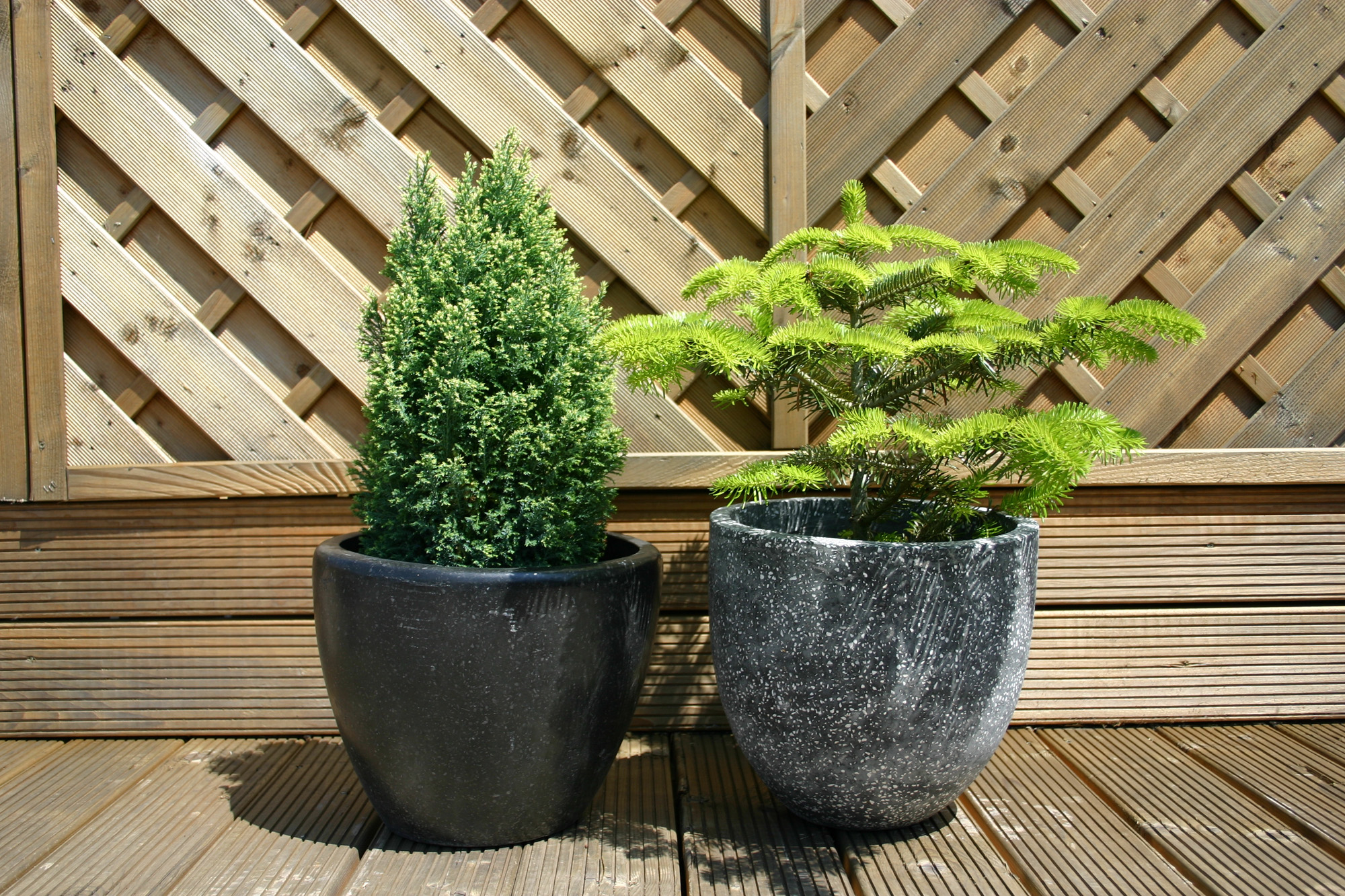 plant pots 2