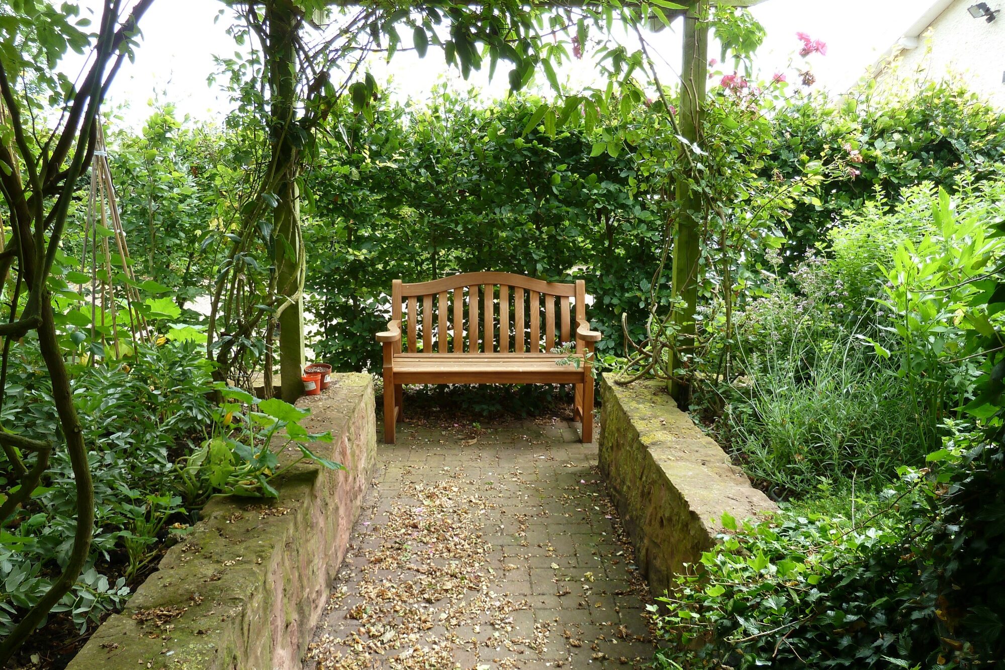 Blog 2 Garden bench under pergola – Copy