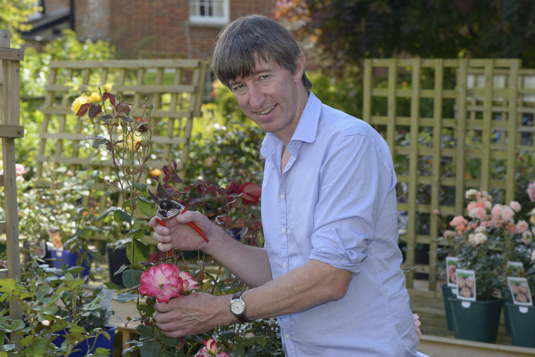 Peter Burks headshot pruning July 2014